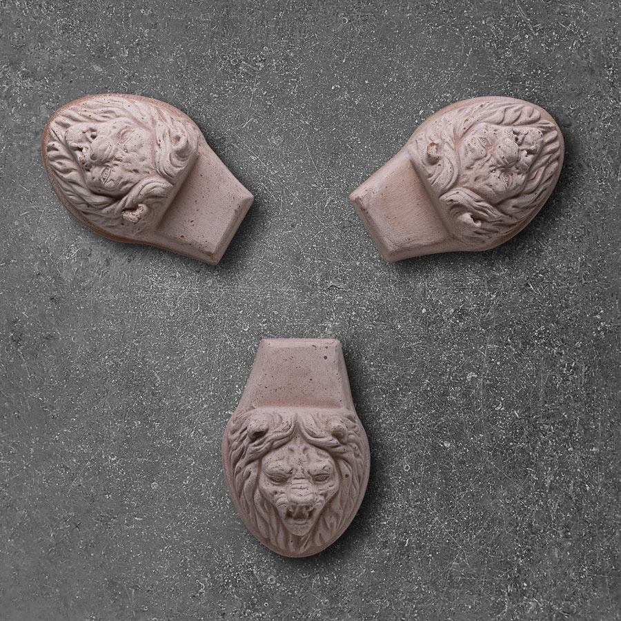 Lion head RAW Grey under potte